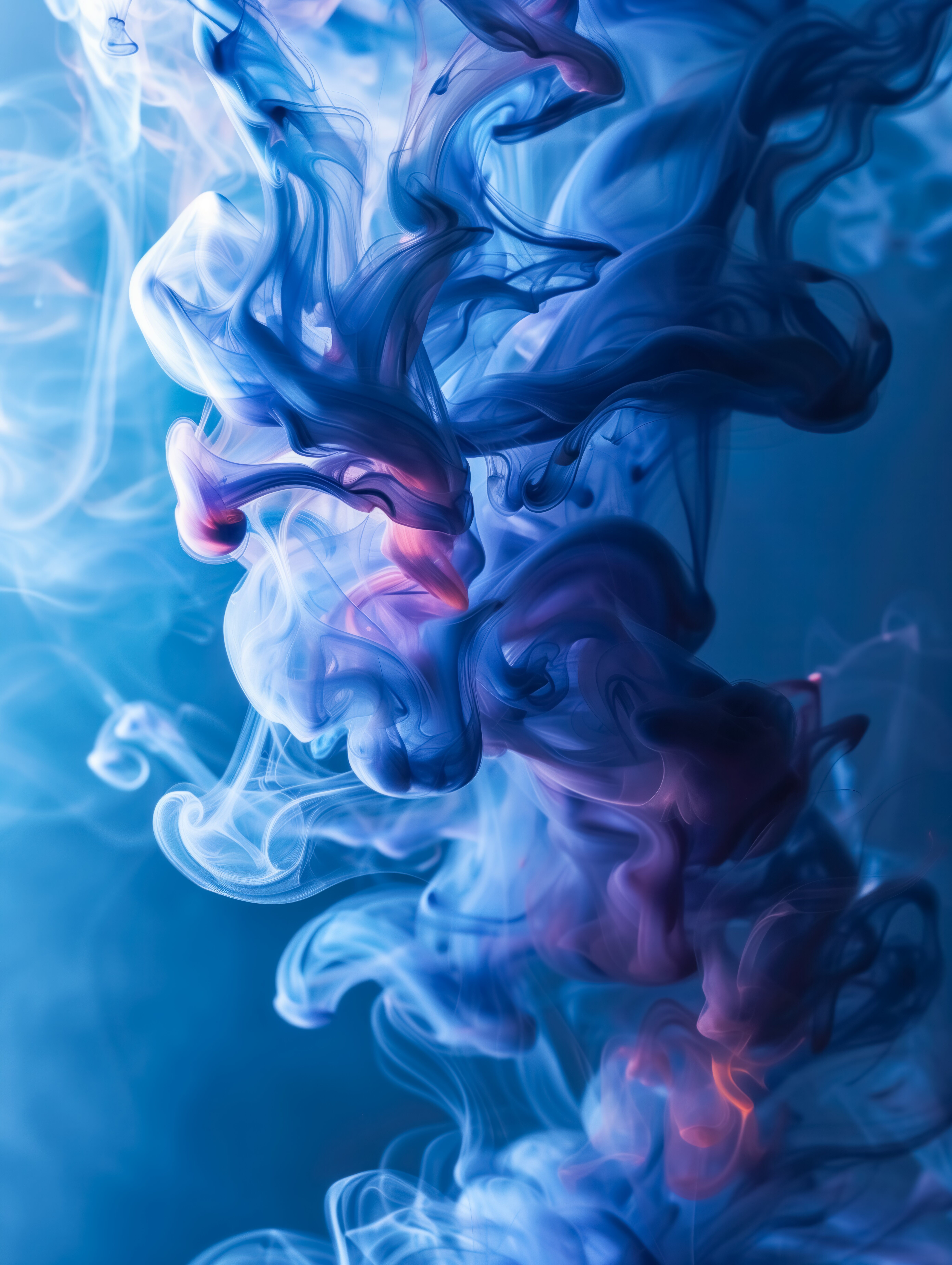 Vrijdag Euforie: Blauwe Nachten