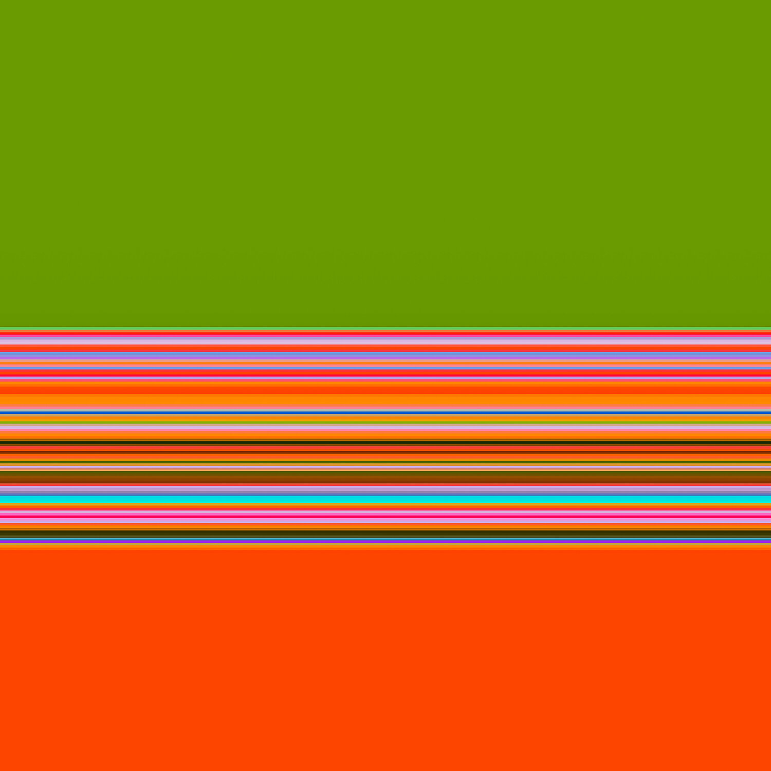 lines Andrea Pallang