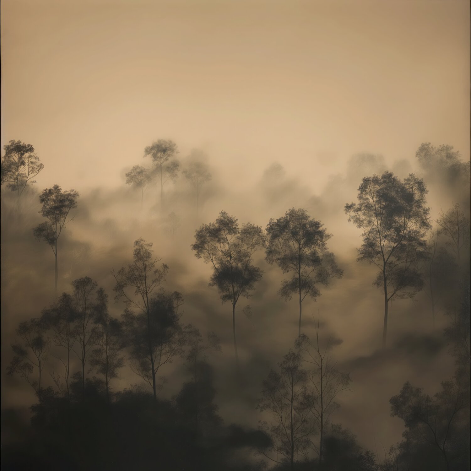 Landscape Andrea Pallang