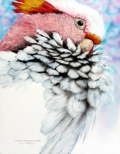 AUSTRALIAN MAJOR MITCHELLS COCKATOO by Paul Margocsy, Painting for Sale on Singulart