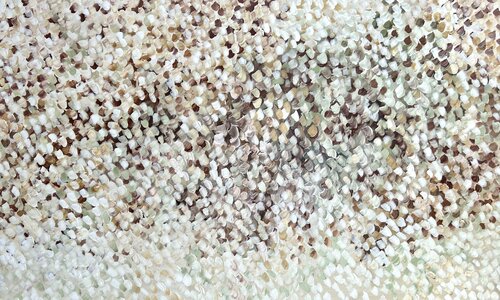 White Symphony Theo Papathomas