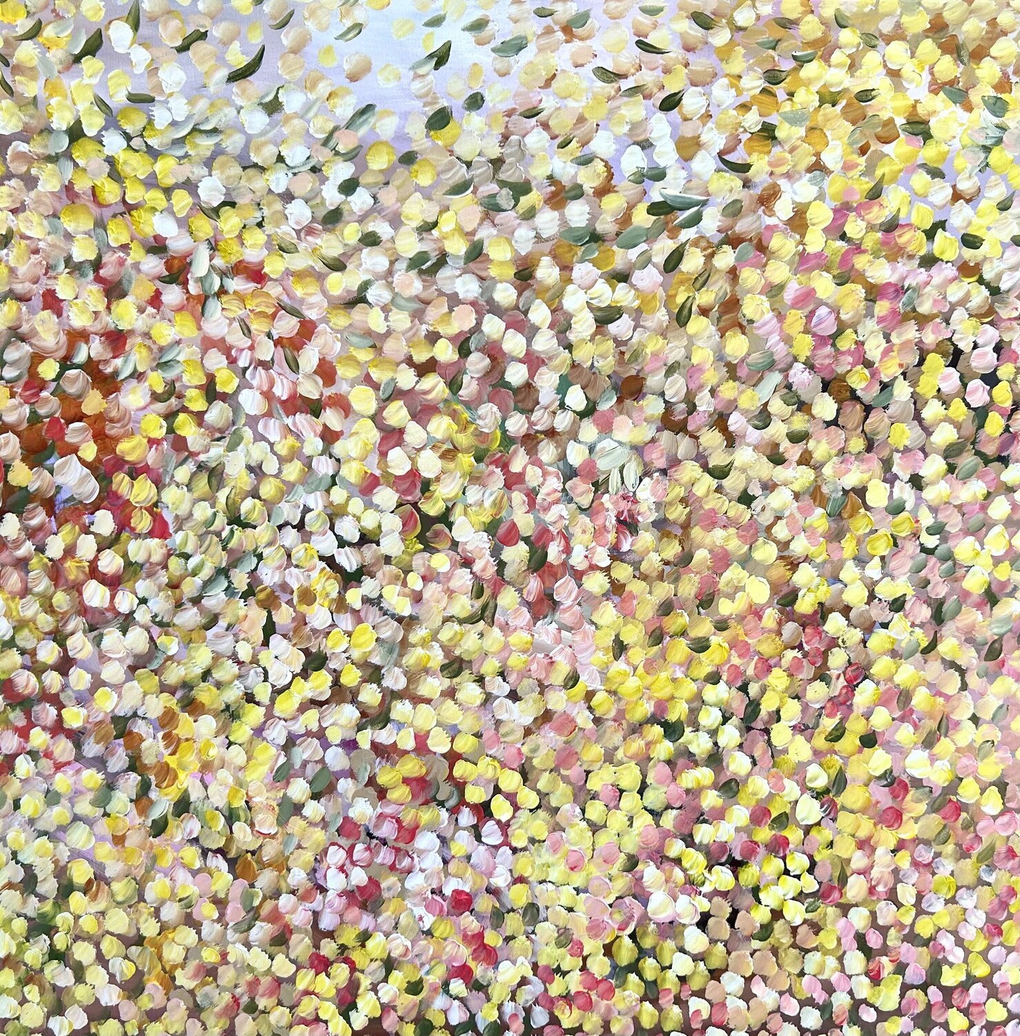 Wattle Symphony Theo Papathomas