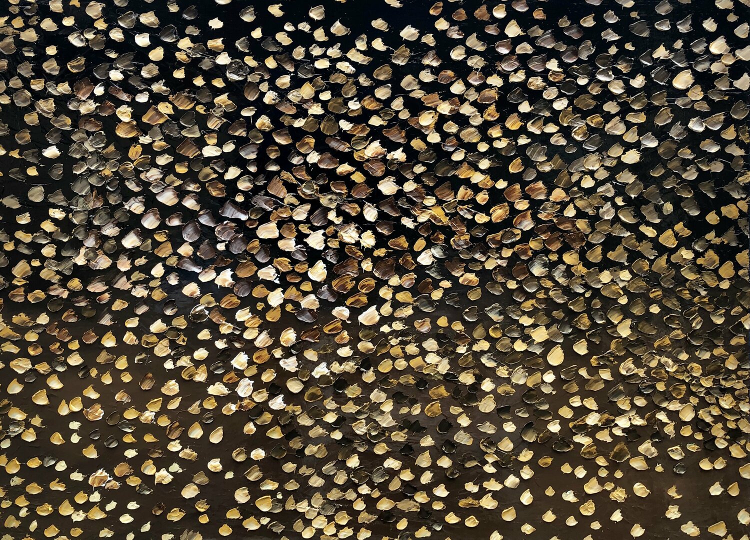 Petals of Shells Theo Papathomas