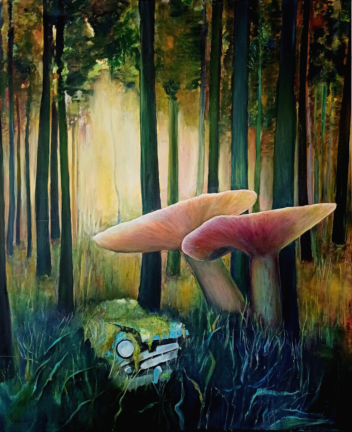 magic mushrooms Hanne Karch