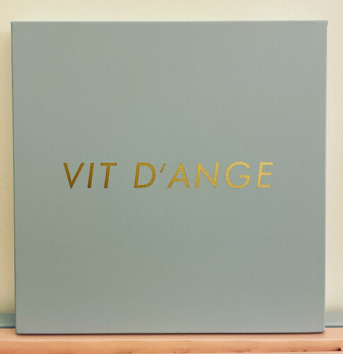 VIT D'ANGE van Jérôme Conscience, Schilderij te koop op Singulart