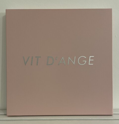 VIT D'ANGE Jérôme Conscience