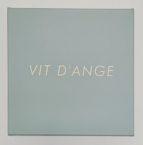 VIT D'ANGE de Jérôme Conscience, Pintura a la venta en Singulart