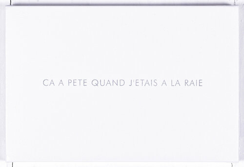 ça a pété quand j'étais à la raie van Jérôme Conscience, Schilderij te koop op Singulart