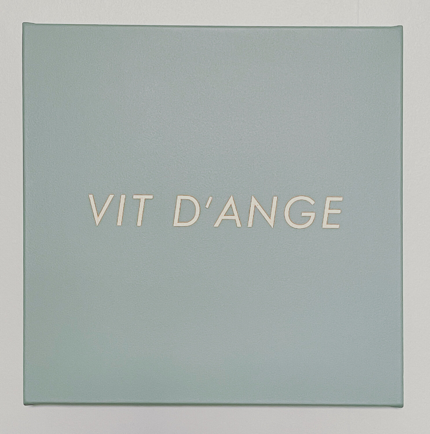 VIT D'ANGE Jérôme Conscience