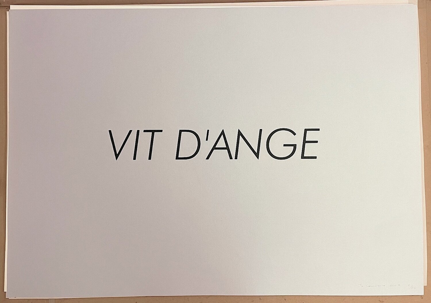 Vit d'Ange Jérôme Conscience