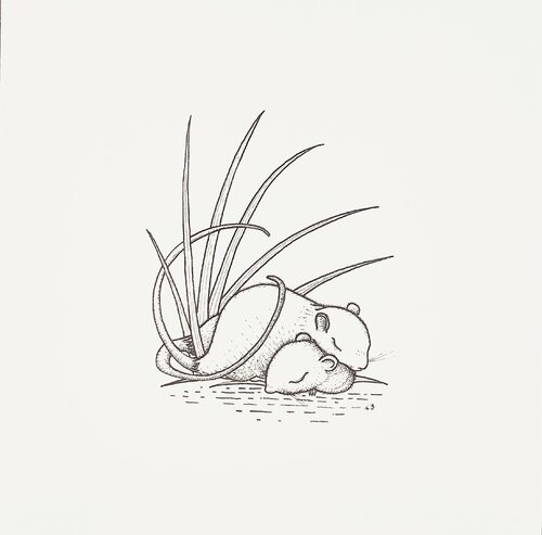 Sleeping Mice van Lara Broecke, Tekening te koop op Singulart