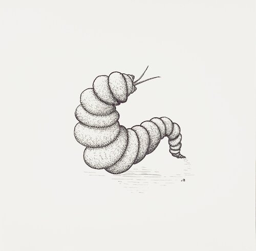 Grub van Lara Broecke, Tekening te koop op Singulart