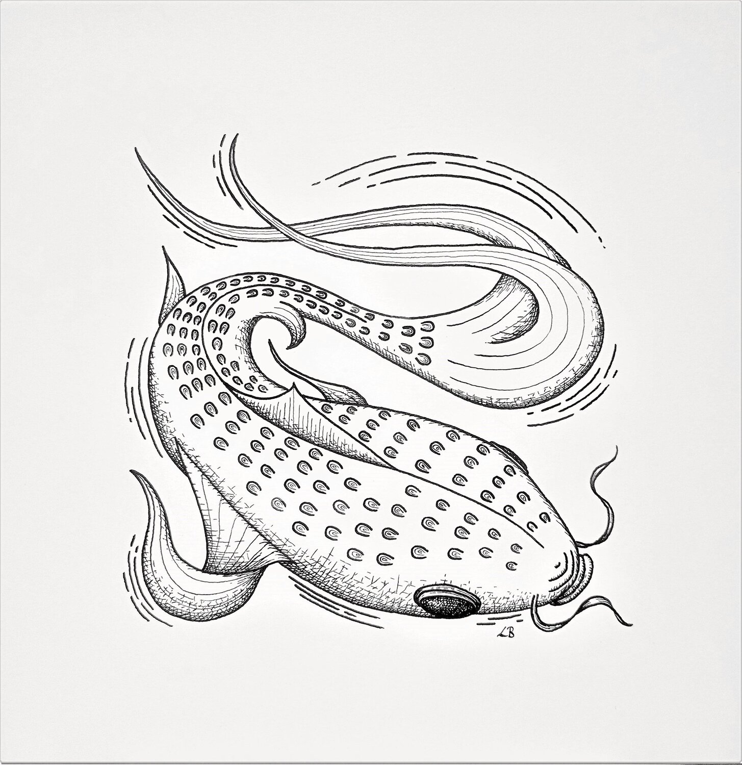 Carp Lara Broecke