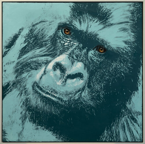 Serie Lichtblick | Gorilla van Lezzueck Coosemans, Schilderij te koop op Singulart