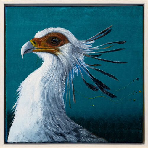 "Serie Tierporträt | Sekretär Vogel" by Lezzueck Coosemans, Painting for Sale on Singulart