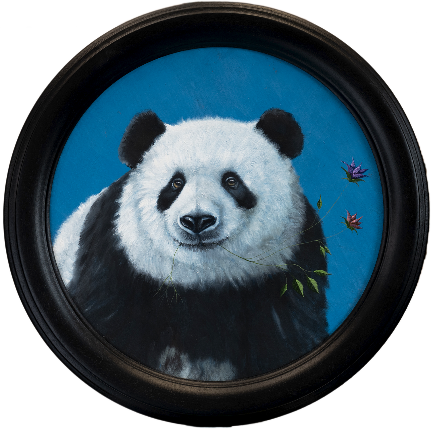 "Serie Hoffnungsgabe  | Riesenpanda" Lezzueck Coosemans