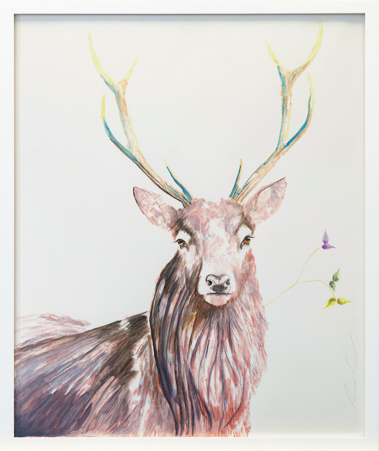 “Serie Hoffnungsgabe | Rothirsch” Lezzueck Coosemans