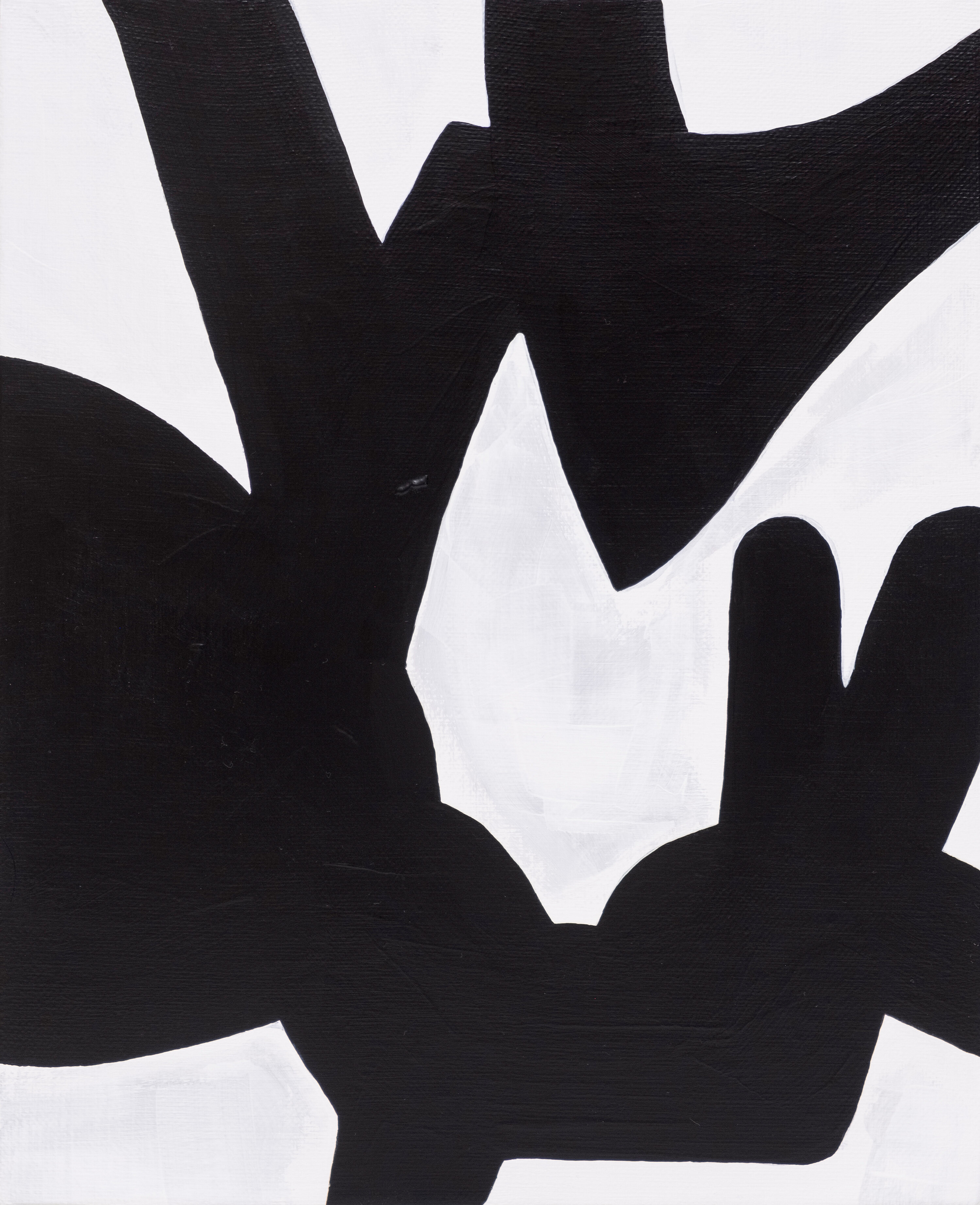 Dialettica del Bianco e Nero