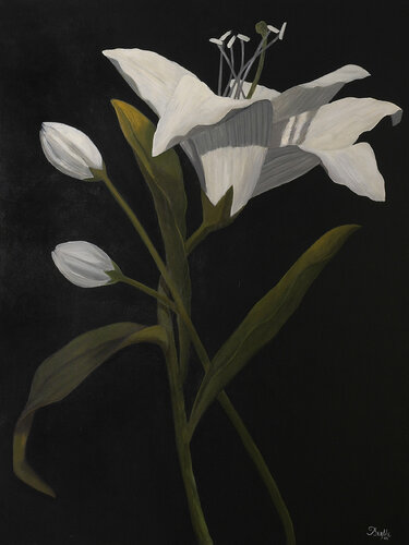 A puro Lilium van Berta Goldwaser, Schilderij te koop op Singulart