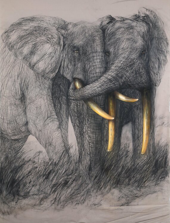 Enamorados Berta Goldwaser