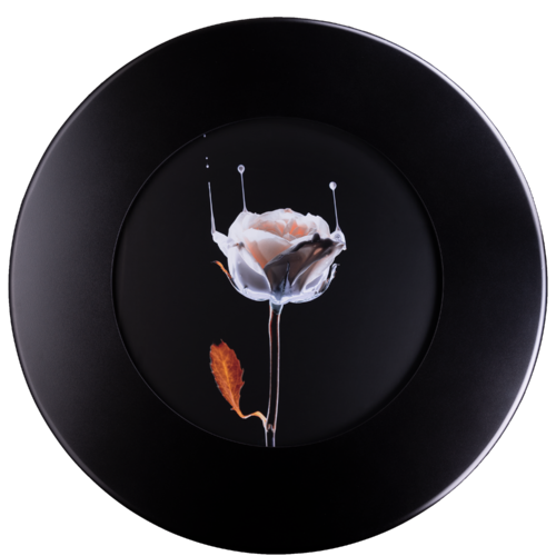 Rose d'hiver par Isaac Renteria, Photographie en vente sur Singulart