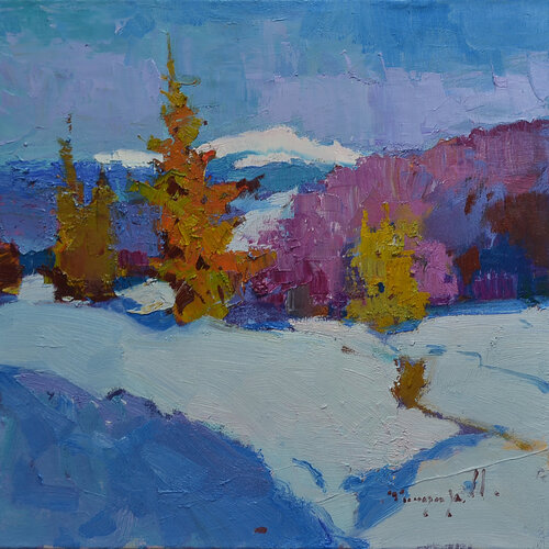 Sparkling snow Alexander Shandor