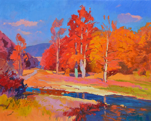 Svalyava Region Alexander Shandor