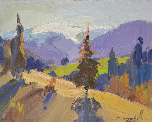 Carpathian Mountains in Sunny Contre Alexander Shandor