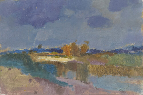 Storm is Coming van Alexander Shandor, Schilderij te koop op Singulart