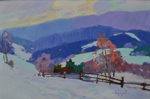 Snowy weather Alexander Shandor