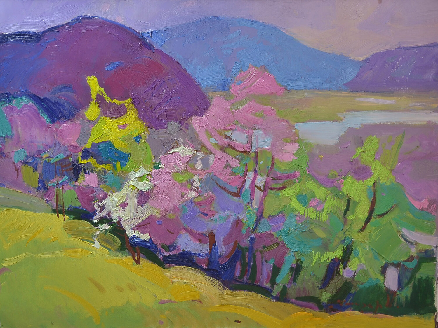 Colorful colors of spring Alexander Shandor Originalgemälde zu verkaufen