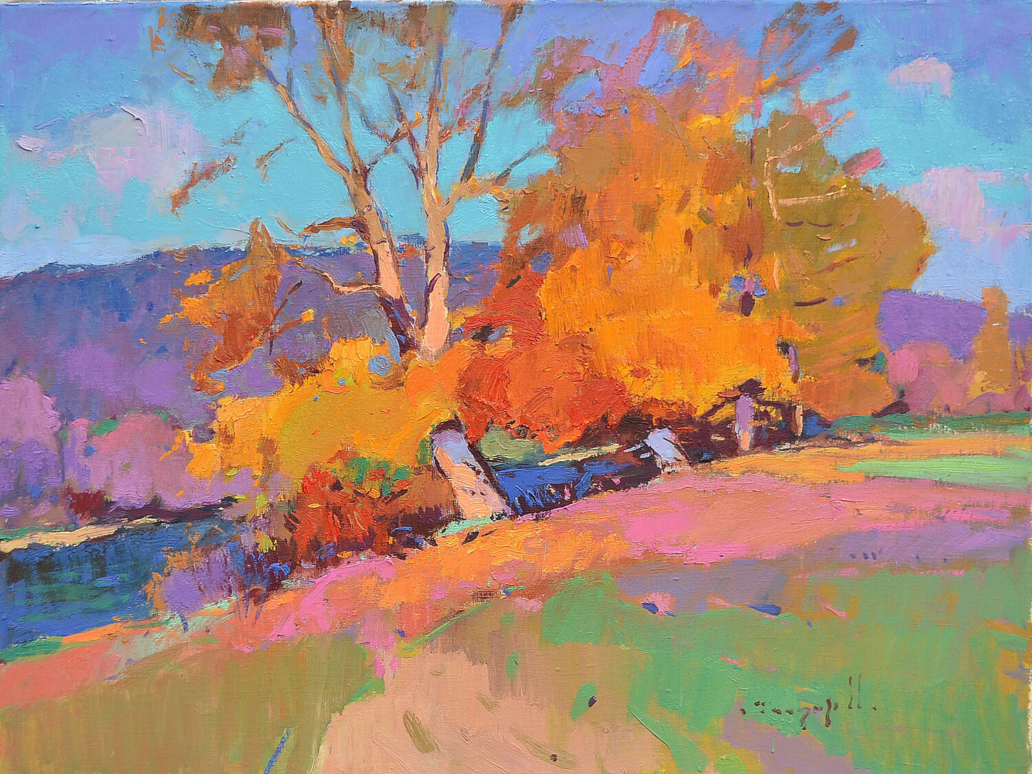 Amazing Colors Alexander Shandor