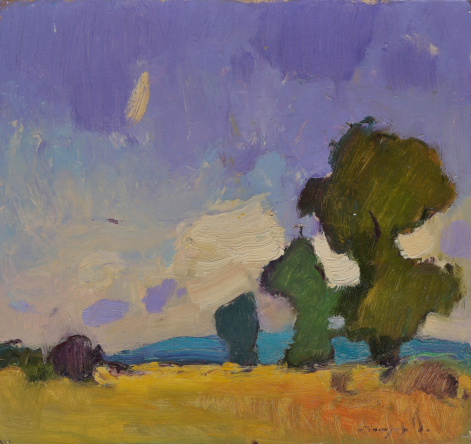 Sketch in Field Alexander Shandor