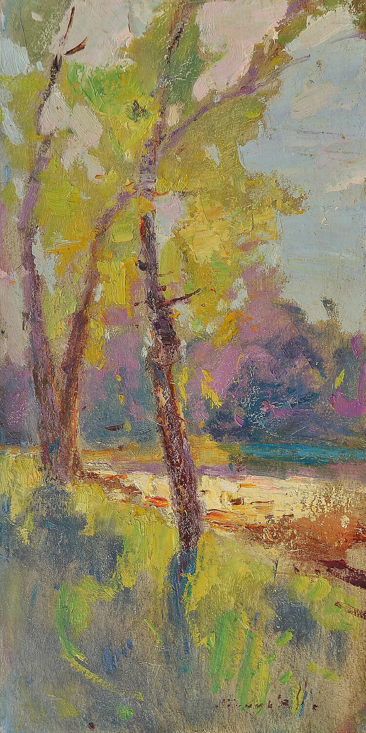 Summer Kontrazhur Alexander Shandor
