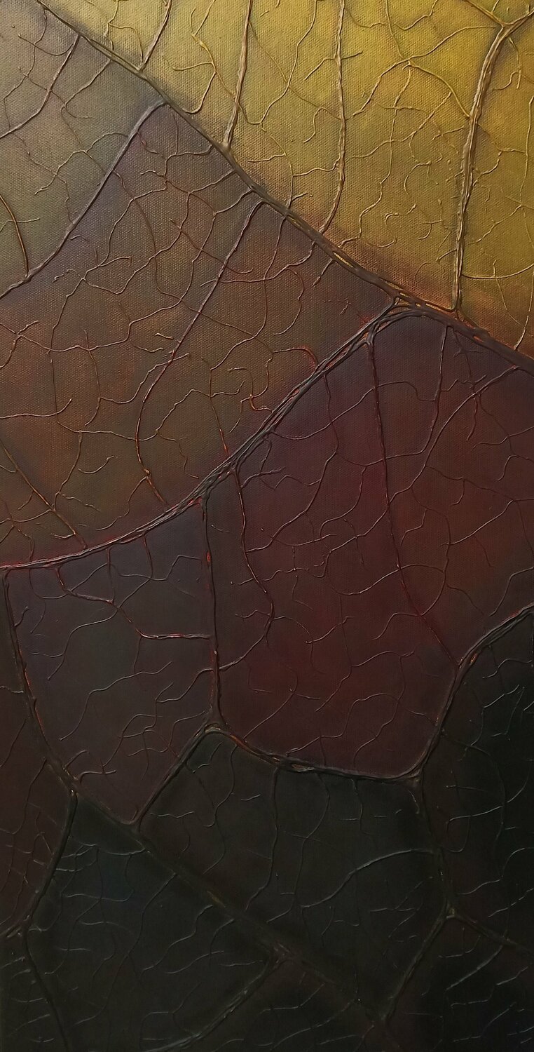 "Noor" ( saison sèche) Marie Dione