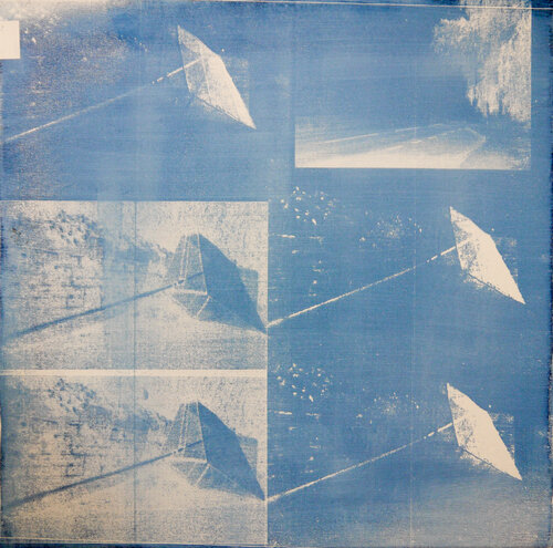 Elever Net 2020 par Niki Hare, Édition en vente sur Singulart