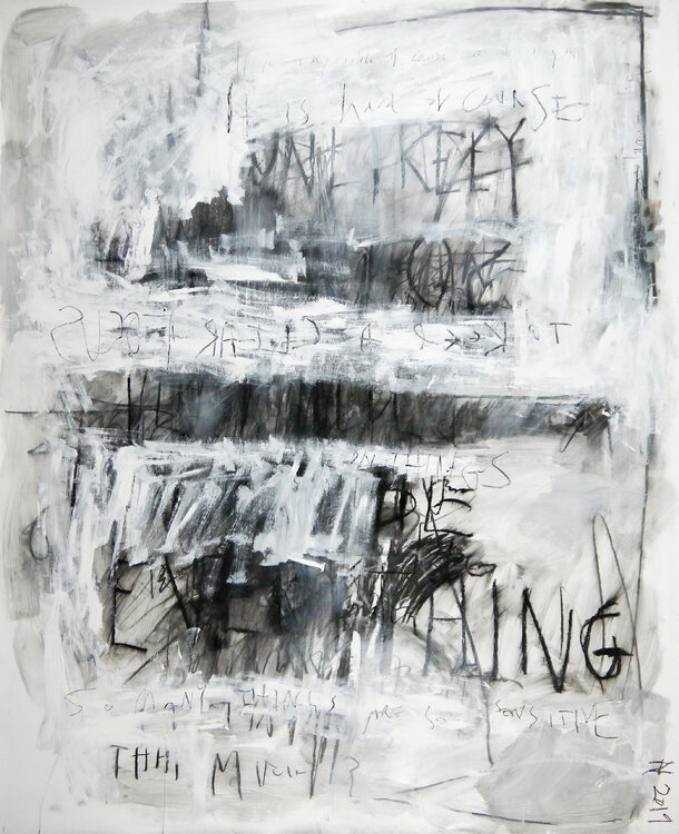 Focus (everything) Niki Hare