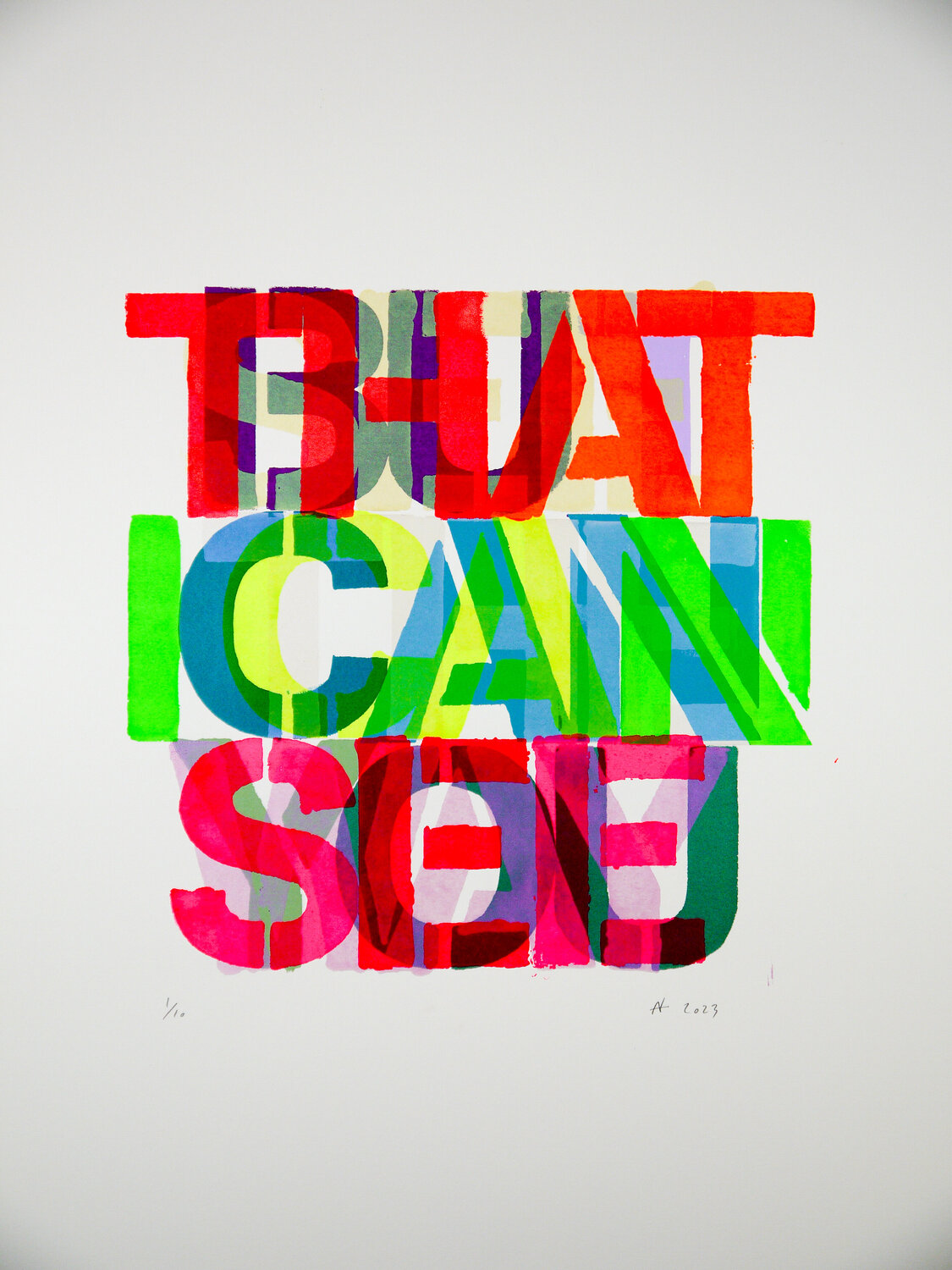 Can You See (screen print) Niki Hare