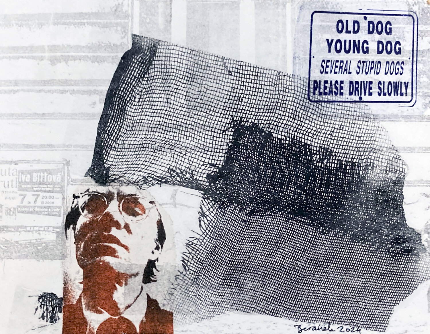 Drive slow  Shortcuts Petr Beranek