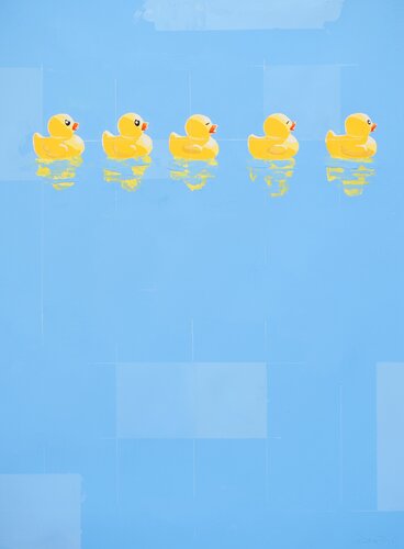 Duck line von Carlos Martin, Malerei kaufen auf Singulart
