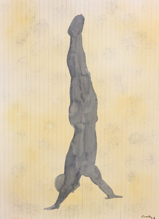 Anatomy of sport Carlos Martin