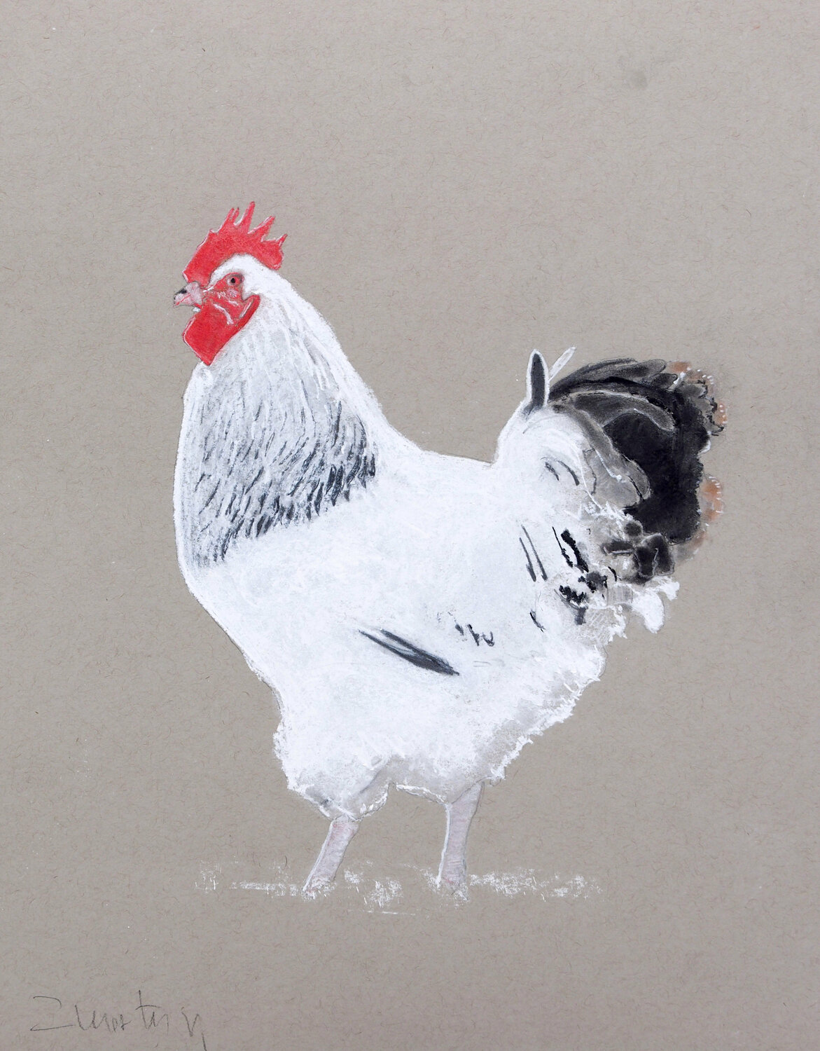 Gallo 4 Carlos Martin