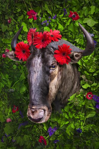 Last Paradise II by Ekaterina Sevrouk, Photography for Sale on Singulart