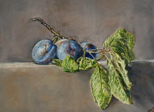 Plum van Lusie Schellenberg, Schilderij te koop op Singulart