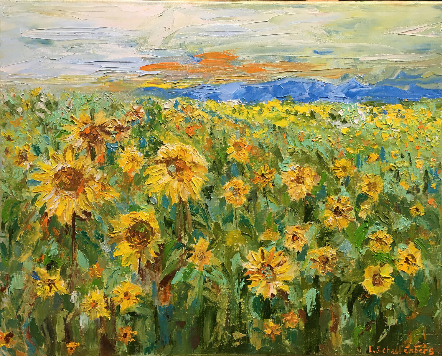 Sonneblumen Lusie Schellenberg