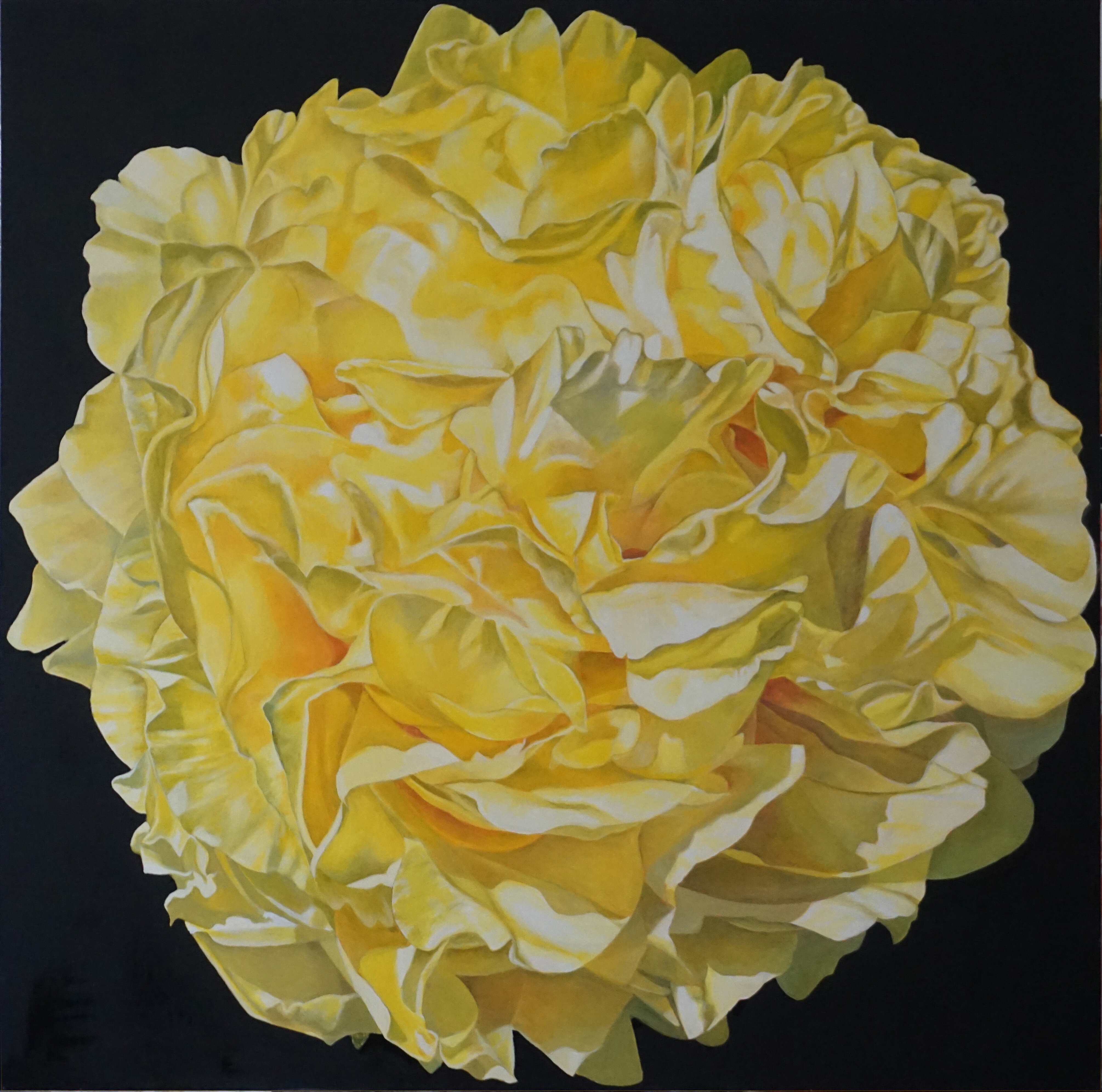 A l'ombre des pivoines