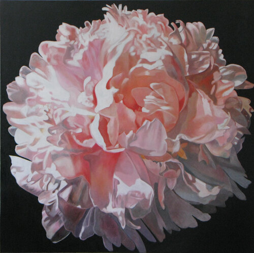 pink peony richard jurtitsch