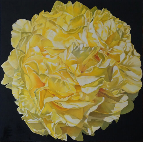 Yellow Peony richard jurtitsch