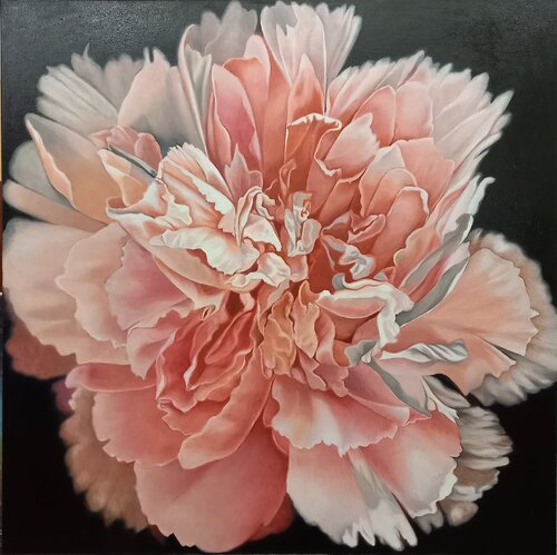Pink Peony richard jurtitsch
