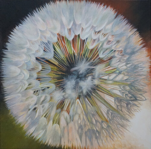 Pusteblume II van richard jurtitsch, Schilderij te koop op Singulart